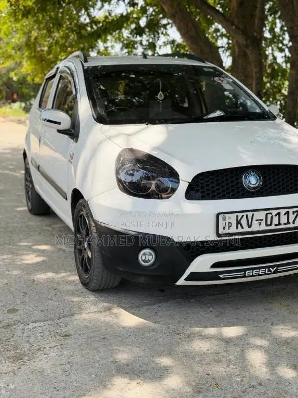 Micro Panda Cross 2013 Car (Used)
