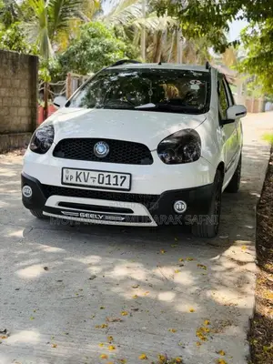 Micro Panda Cross 2013 Car (Used)