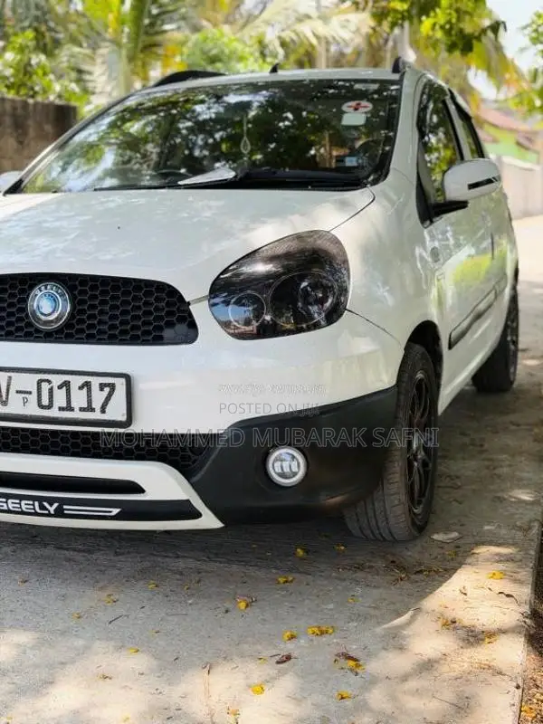 Micro Panda Cross 2013 Car (Used)