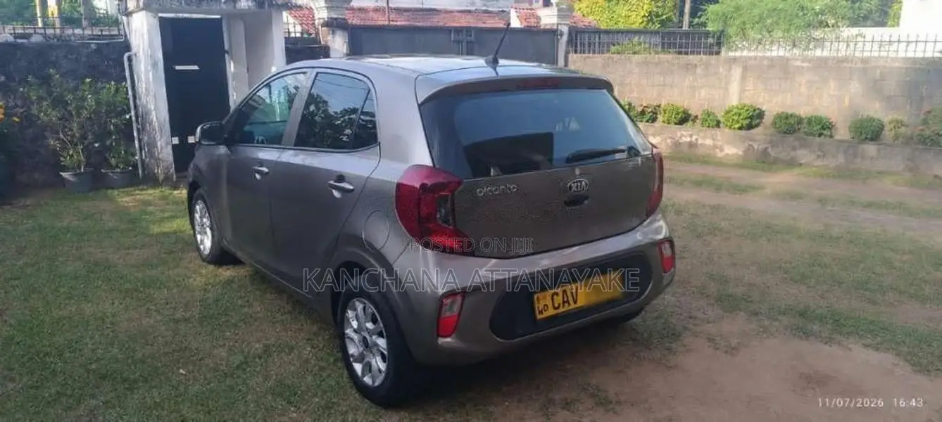 Kia Picanto 2017 Car (Used)