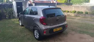 Kia Picanto 2017 Car (Used)