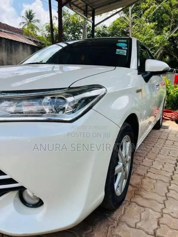 Toyota Axio G Grade 2016 Car (Used)