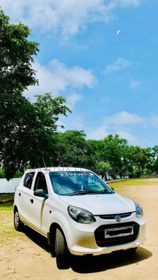 Suzuki Alto 2015 Car (Used)