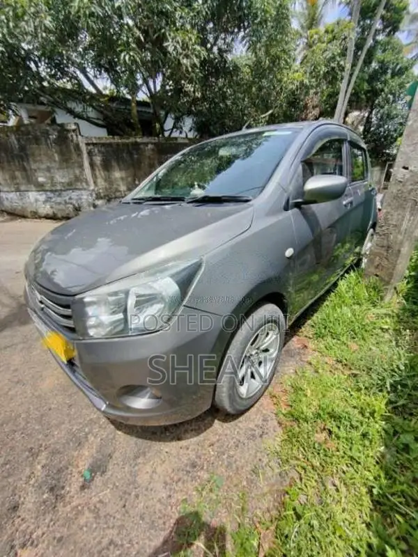 Suzuki Celerio 2015 Car (Used)