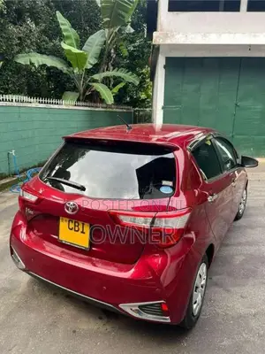 Toyota Vitz 2019 Car (Used)