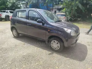 Suzuki Alto 2013 Car (Used)