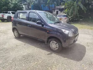 Suzuki Alto 2013 Car (Used)