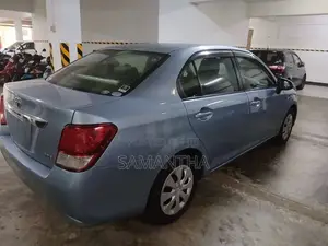 Toyota Axio 2014 Car (Used)