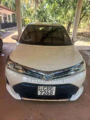 Toyota Axio Wxb 2018 Car (Used)