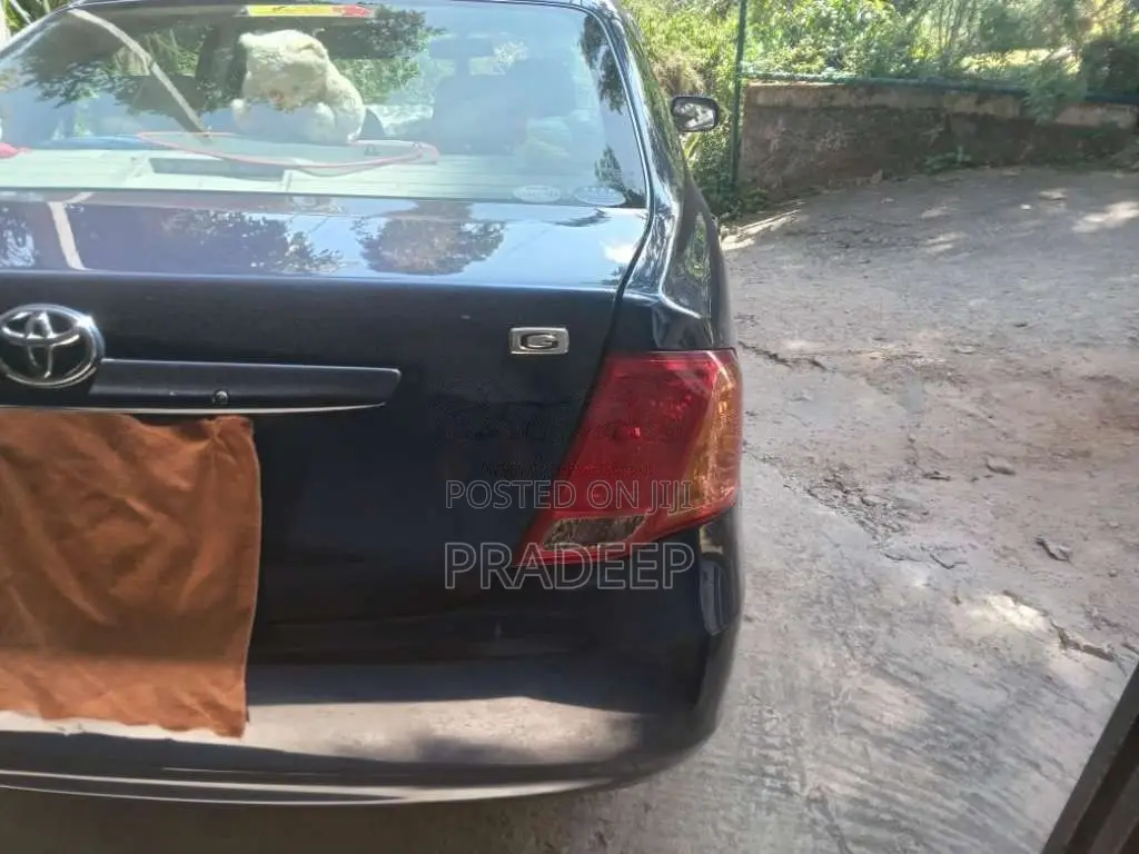 Toyota Axio 2008 Car (Used)