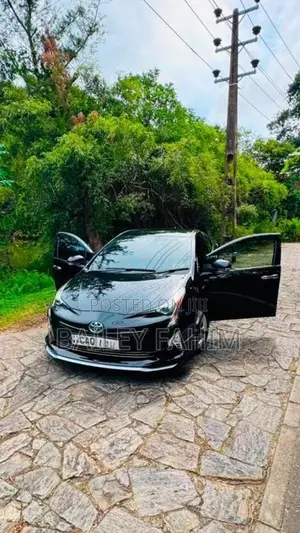 Toyota Prius 2016 Car (Used)