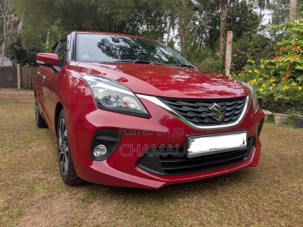Suzuki Baleno 2019 Car (Used)