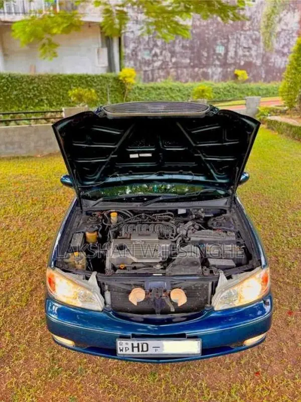 Nissan Cefiro 2000 Car (Used)