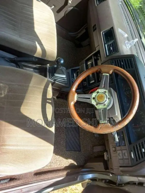 Nissan Trad Sunny 1990 Car (Used)