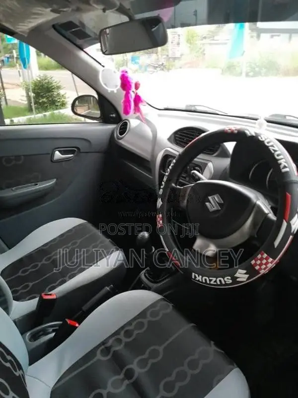 Suzuki Alto 2015 Car (Used)