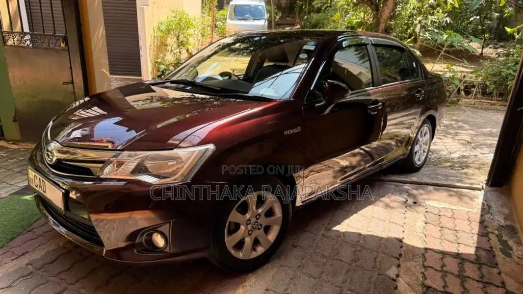 Toyota Axio 2014 Car (Used)