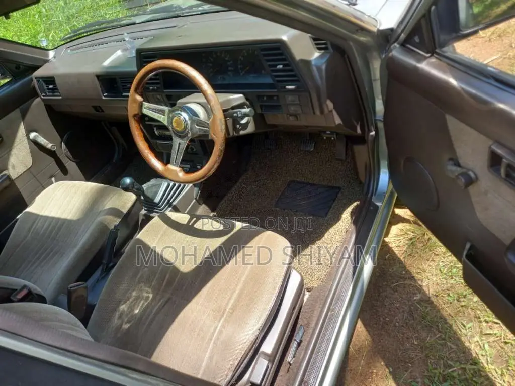 Nissan Trad Sunny 1990 Car (Used)