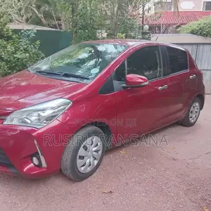 Toyota Vitz 2019 Car (Used)