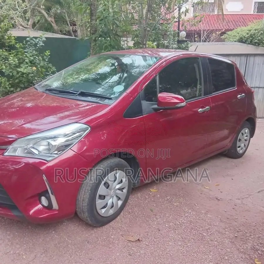 Toyota Vitz 2019 Car (Used)