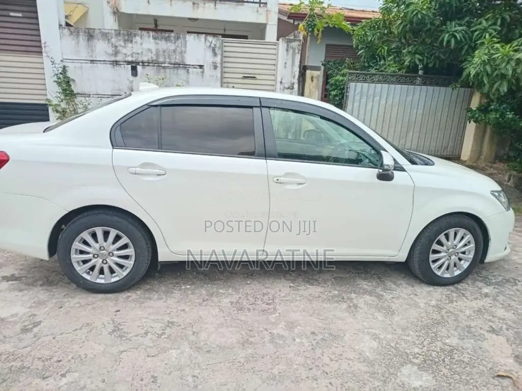 Toyota Axio 2013 Car (Used)