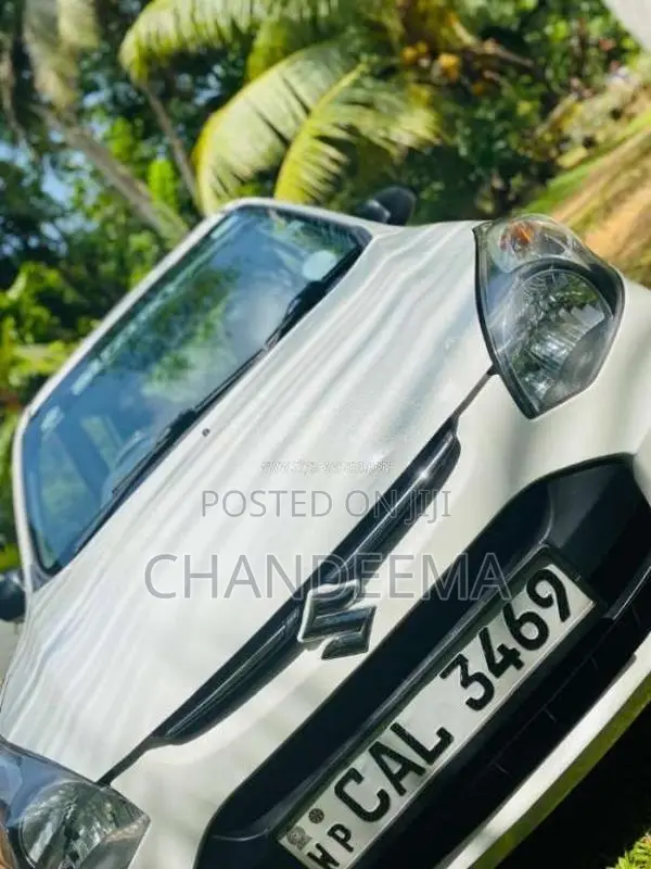 Suzuki Alto 2015 Car (Used)