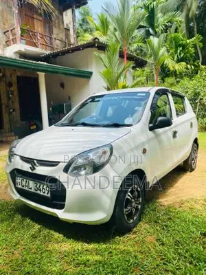 Suzuki Alto 2015 Car (Used)