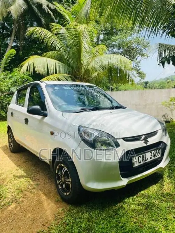 Suzuki Alto 2015 Car (Used)