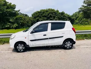 Suzuki Alto 2015 Car (Used)