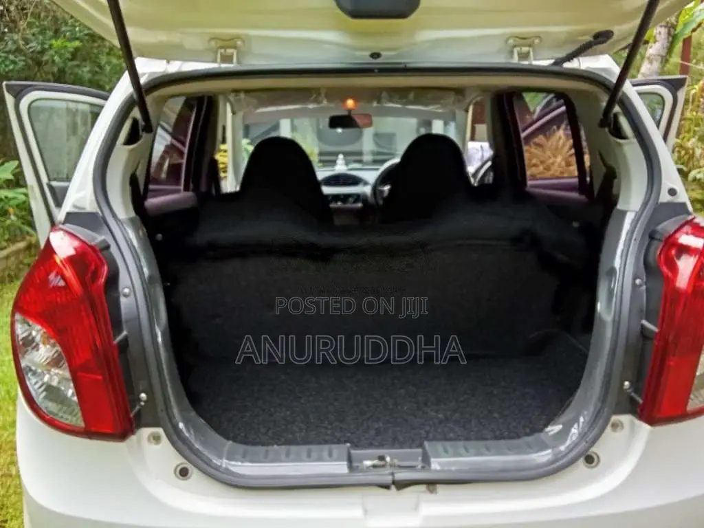 Suzuki Alto 2017 Car (Used)