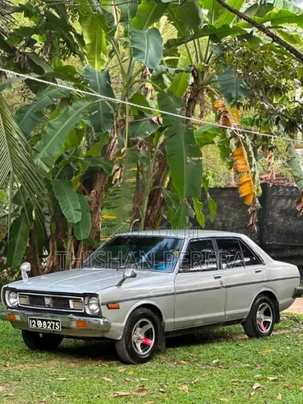 Nissan B310 1979 Car (Used)