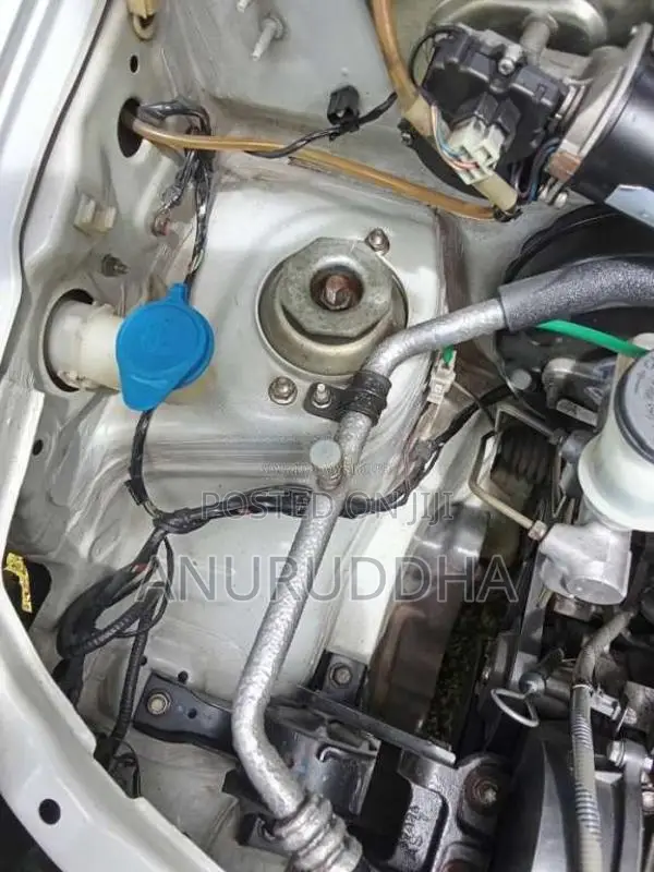 Suzuki Alto 2017 Car (Used)