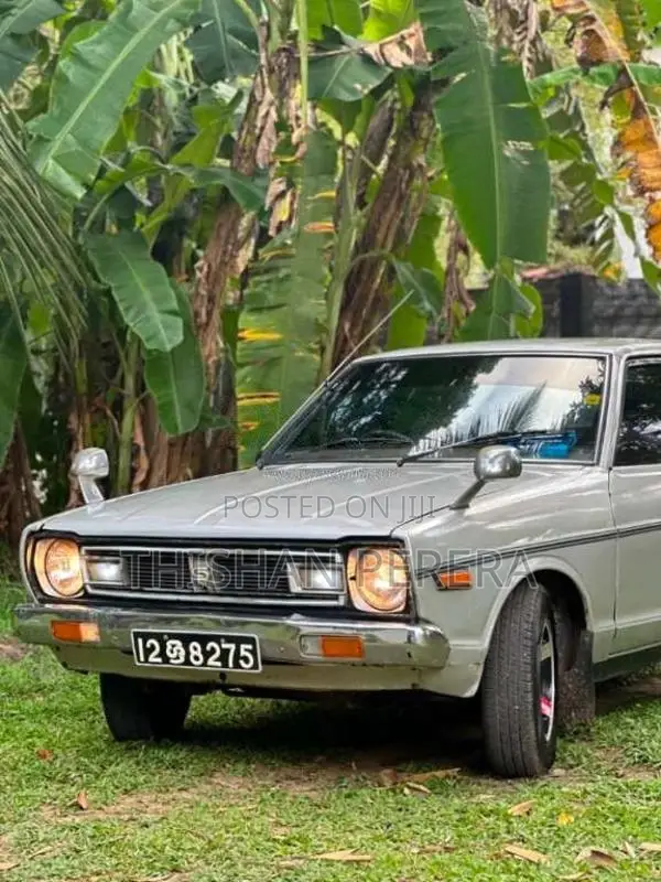 Nissan B310 1979 Car (Used)