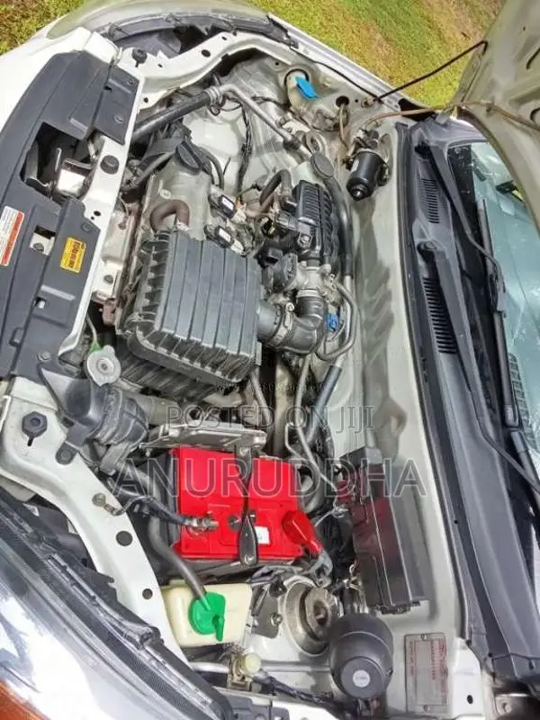 Suzuki Alto 2017 Car (Used)