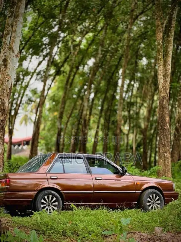Nissan HB12 1988 Car (Used)