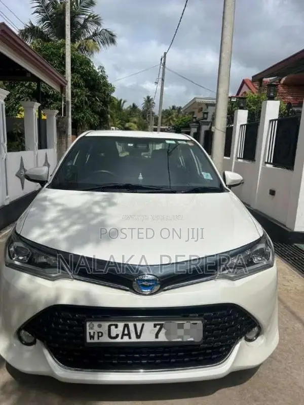 Toyota Axio Wxb 2017 Car (Used)