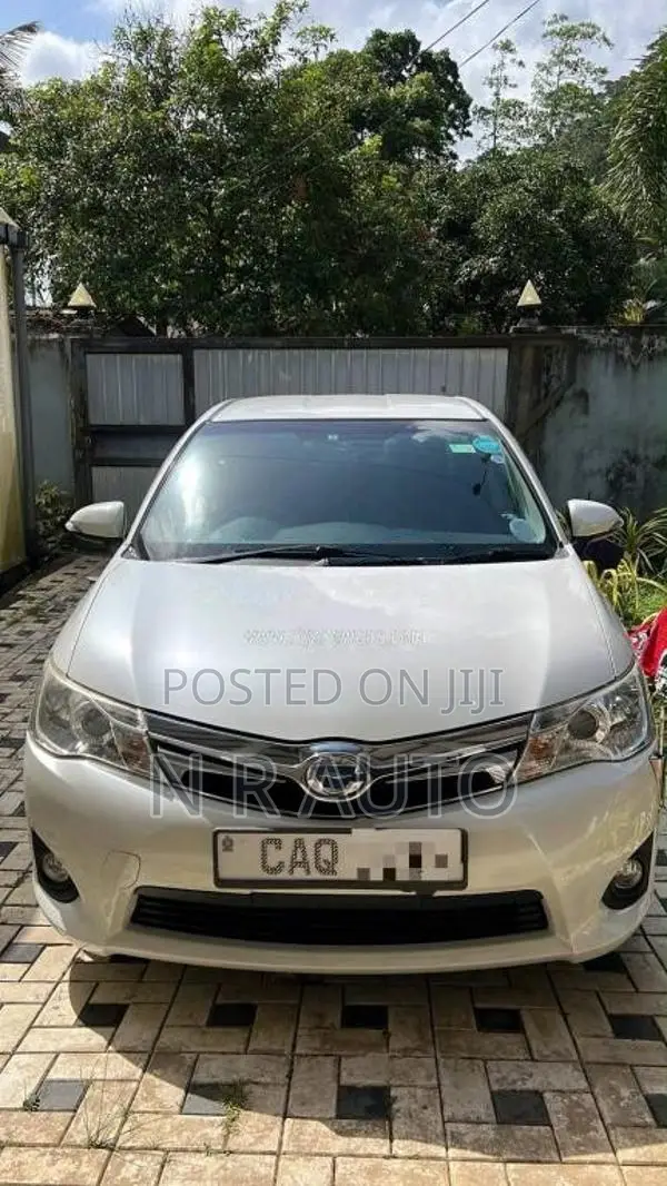 Toyota Axio 2014 Car (Used)