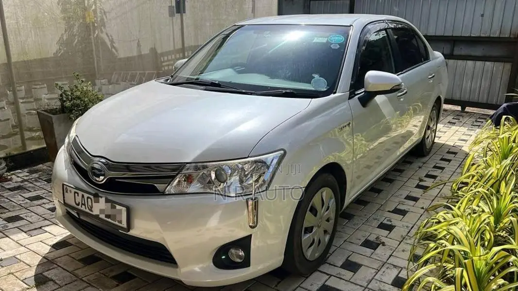 Toyota Axio 2014 Car (Used)
