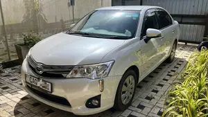 Toyota Axio 2014 Car (Used)