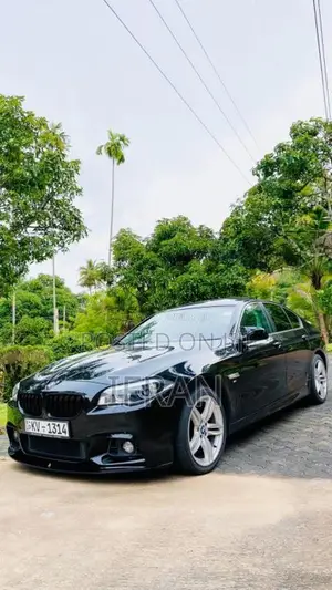 BMW 523i 2011 Car (Used)