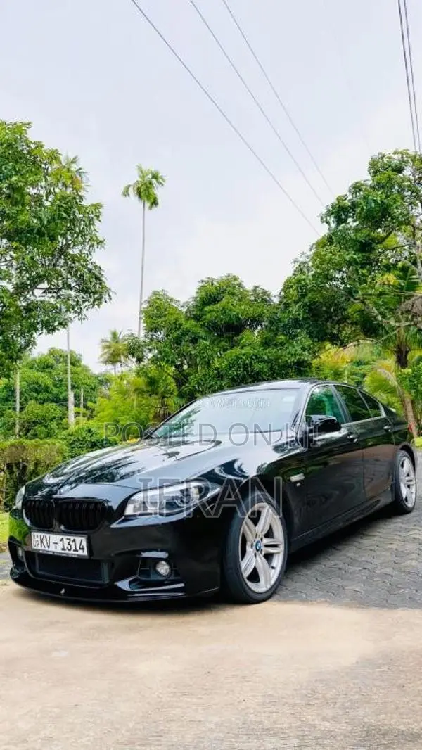 BMW 523i 2011 Car (Used)