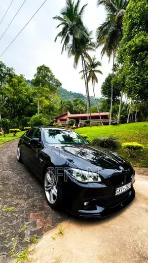 BMW 523i 2011 Car (Used)