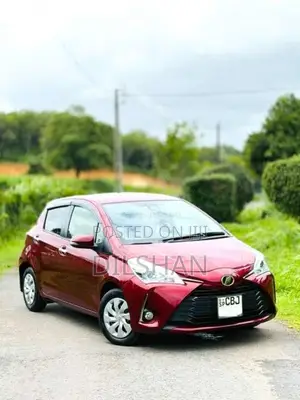 Toyota Vitz 2019 Car (Used)