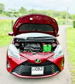 Toyota Vitz 2019 Car (Used)
