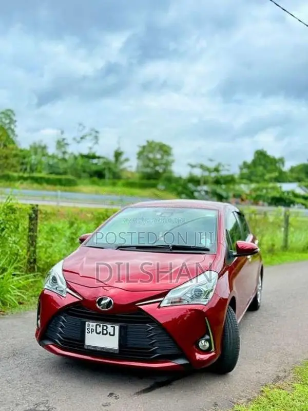 Toyota Vitz 2019 Car (Used)