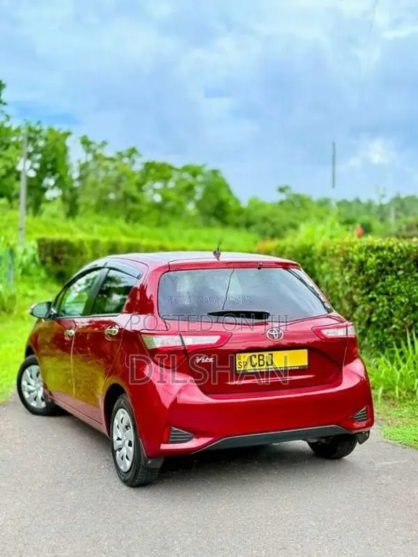 Toyota Vitz 2019 Car (Used)