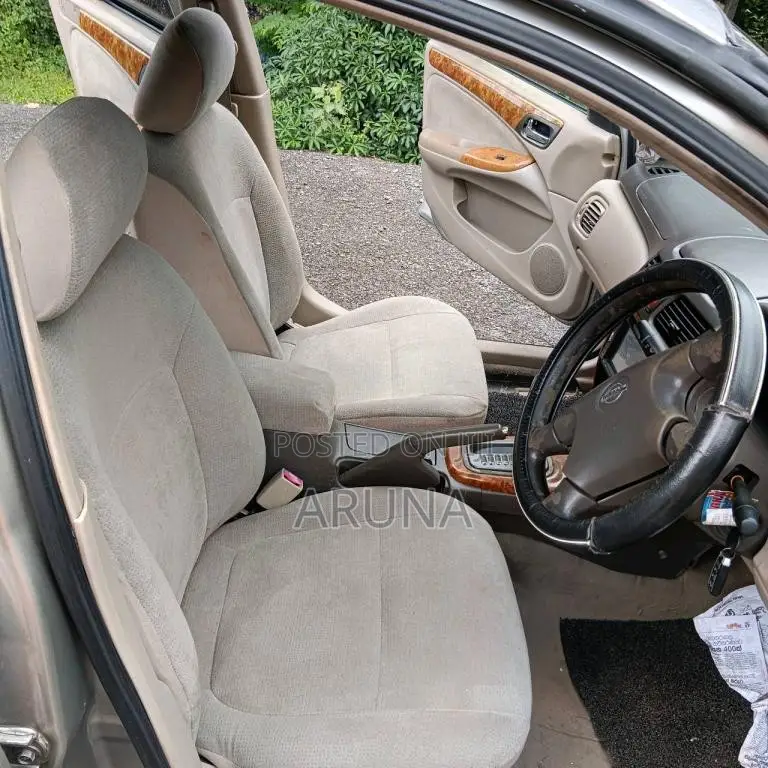 Nissan N16 BlueBird Sylphy G Grade 2004 Car (Used)