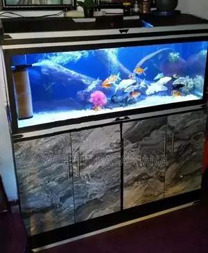 Fish Tank