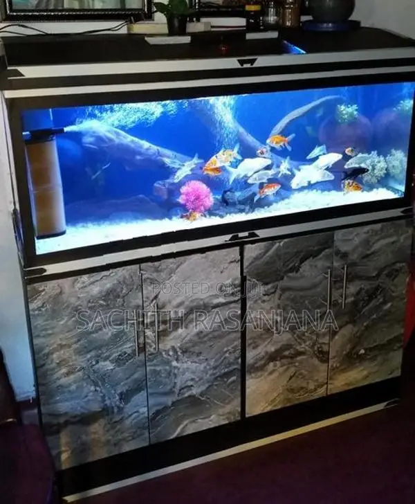 Fish Tank