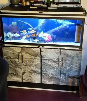 Fish Tank