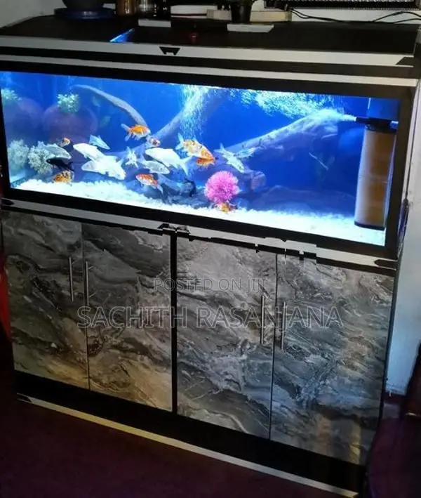 Fish Tank
